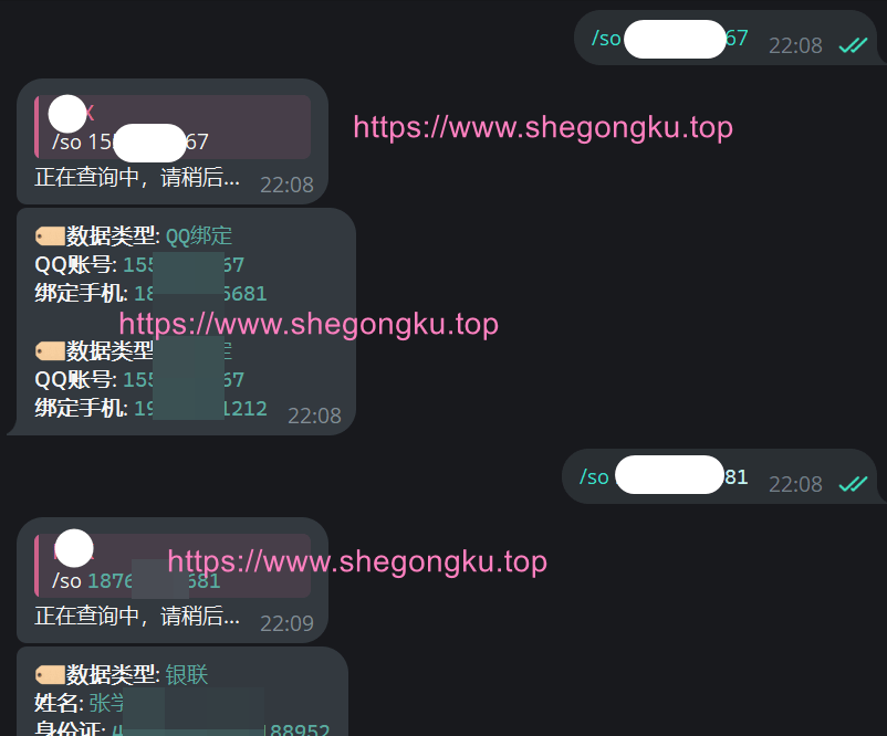 社工库在线查询 - 平安社工库，查机主、查户籍、查快递、查QQ绑定