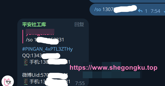 免费社工库机器人 - 支持三网机主、手机定位、个人户籍、开房记录、通话记录等信息查询