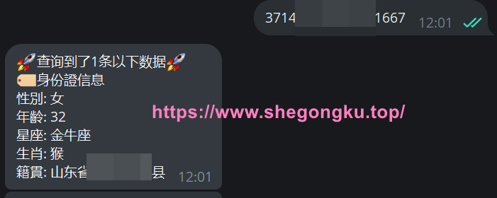 屁屁社工库 -ppsgk_bot-可免费使用的社工库查询工具