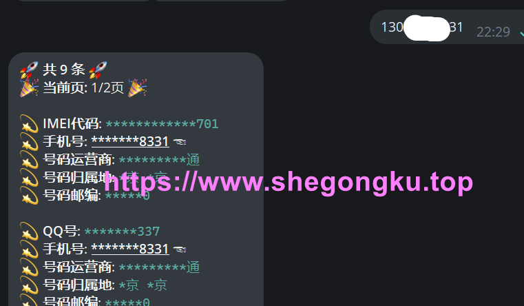 叮当猫Telegram社工库机器人 - 支持快递、开房记录、身份证、手机等信息查询